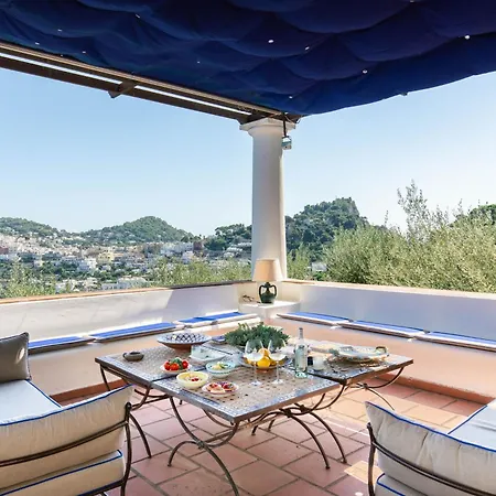 Ginestra By My Collection